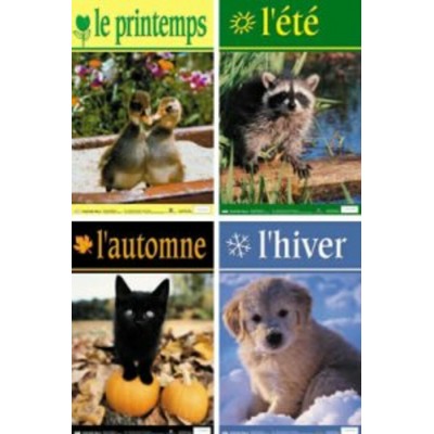 Ensemble d'Affiches: Les Saisons