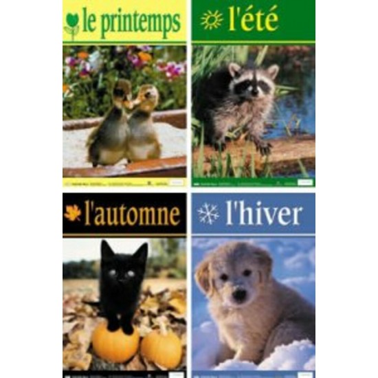 Ensemble d'Affiches: Les Saisons