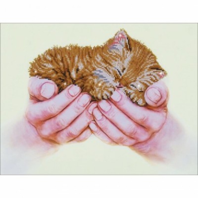 Diamond Art - Précieux Chaton 20,5 x 15,75
