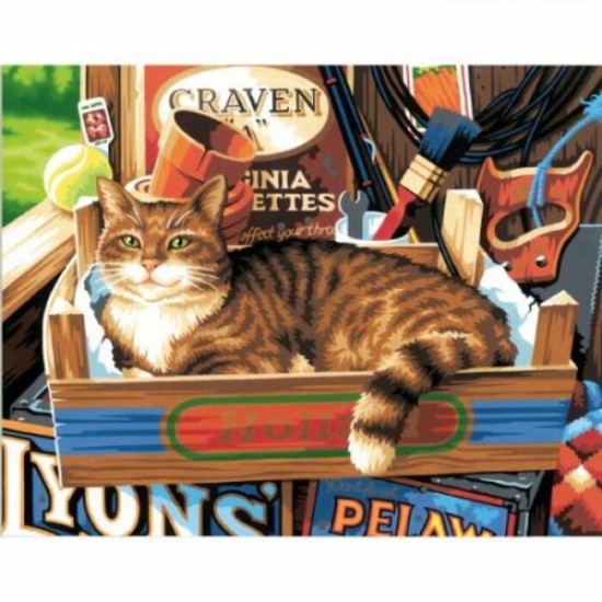 Peinture par Numéro 11x14" : Pancartes de Chat