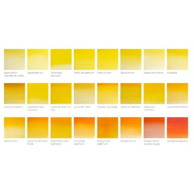 Aquarelle Winsor & Newton Professionnelle - 37ml (Série 1)