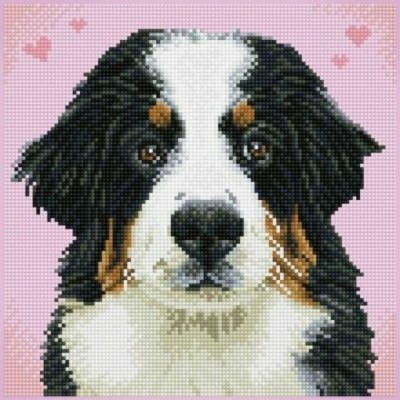 Diamond Art - Chien Bouvier 14.57x14.57''...