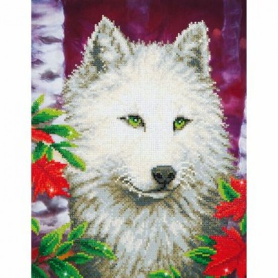 Diamond Art - Loup Blanc (17.3x21.7'')