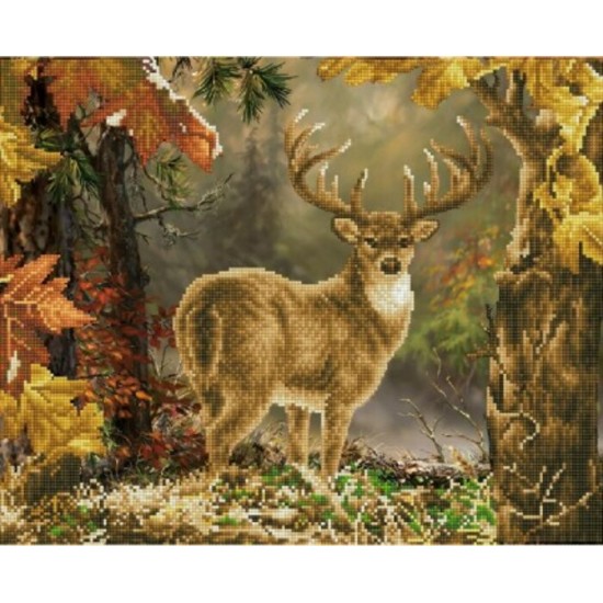 Diamond Art - Prince de la Forêt 16.5x20.5''