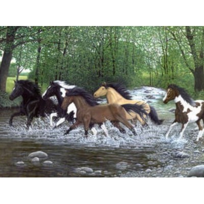 Peinture par Numéro (30x45cm) - Esprits Libres