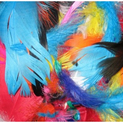 Plumes : 100gr.