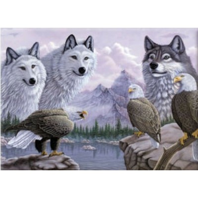 Peinture par Numéro (30x45cm) - Loups et Aigles