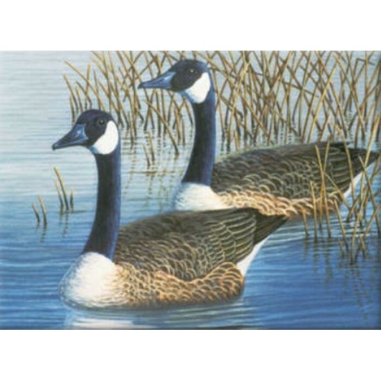Peinture par Numéro (30x45cm) - Oies