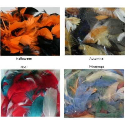 Plumes : 8gr. (Assortiment) (Option de Couleur)