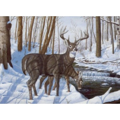 Peinture par Numéro (30x45cm) - Bonheur d'Hiver