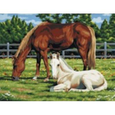 Peinture par Numéro (27x35cm) sur Toile - Chevaux...