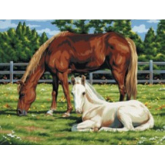 Peinture par Numéros Royal & Langnickel (27x35cm) sur Toile - Chevaux au Champs