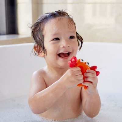 Jouets de Bain "Amis du Rocher"/2