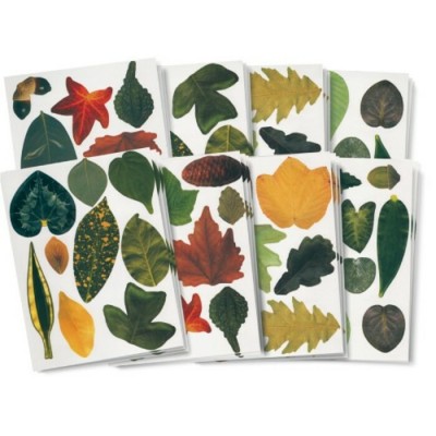 Papier pour Bricolage : Feuilles d'Arbre/266...