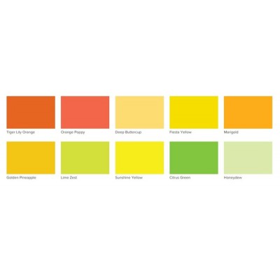 Peinture Patio Paint  59ml (Option de Couleur)