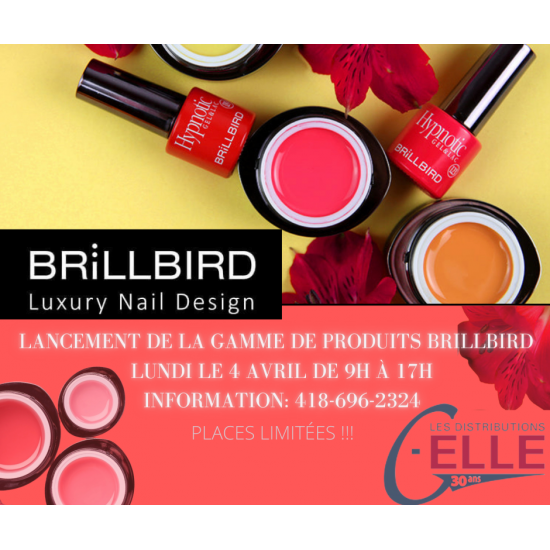 Lancement Brillbird 