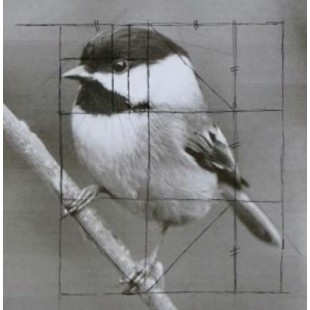 Dessin de reproduction