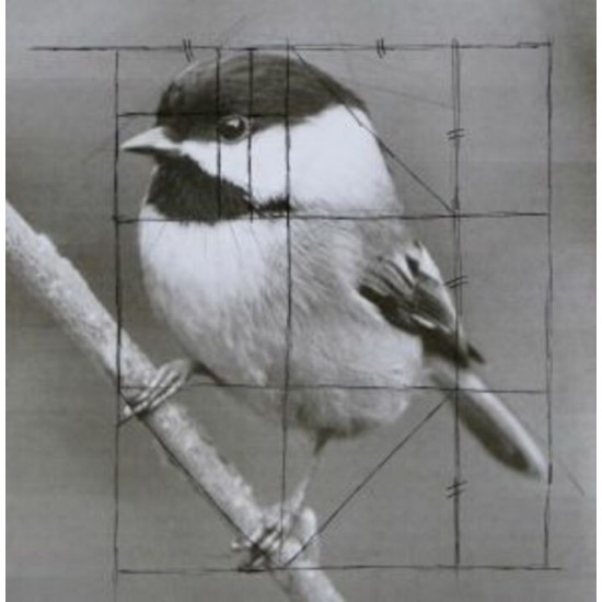 Dessin de reproduction
