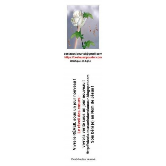 Signet 003