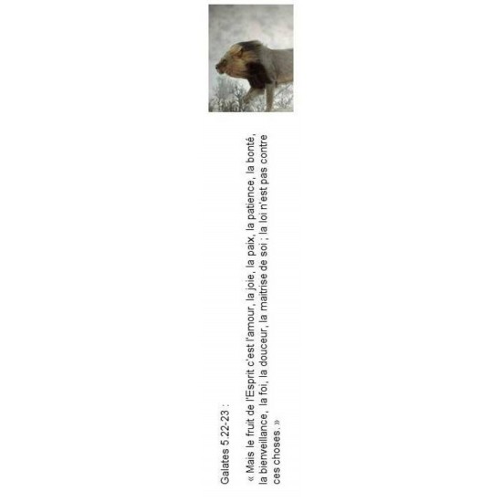 Signet 064