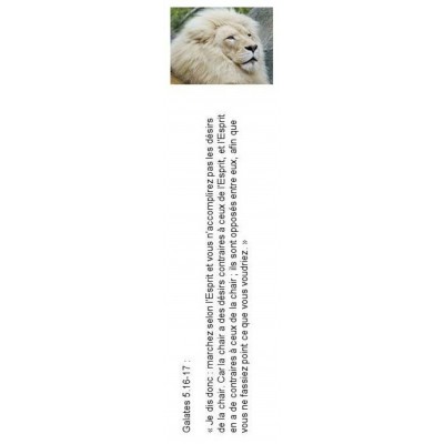 Signet 065