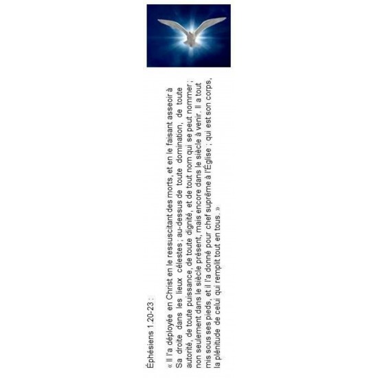 Signet 068
