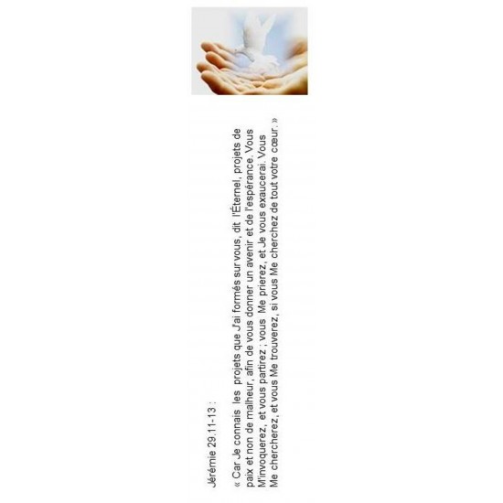 Signet 072