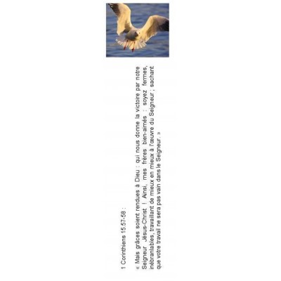 Signet 076 Signet 076