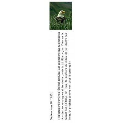 Signet 083