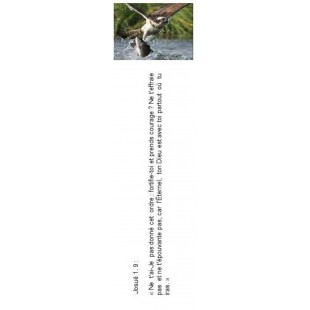 Signet 086