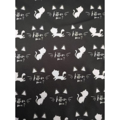 AWj Chaton noir