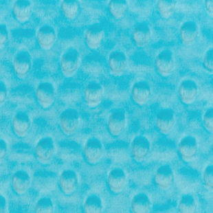 Minky dot aqua