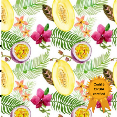 Pul fruits de la passion