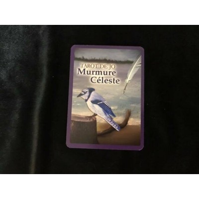 TAROT DE JO MURMURE CÉLESTE NOUS POUVONS POSTER...