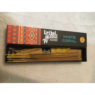 COPAL BLANC TRIBAL SOUL ENCENS EN BÂTONS 15 GR.