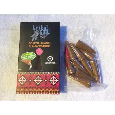 SAUGE ET LAVANDE TRIBAL SOUL 10 CÔNES