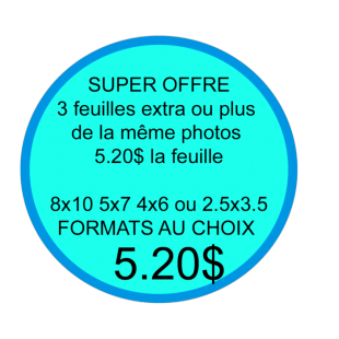 Forfait 1 feuille  extra 2025