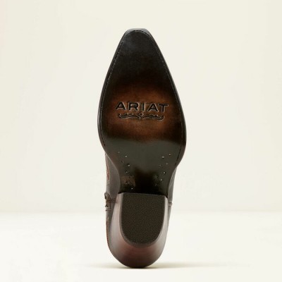Botte Ariat Casanova chocolat femme 