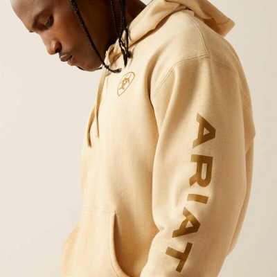 Hoodie Ariat Logo beige homme 