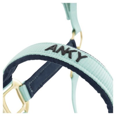 Licou et laisse Anky menthe et bleu foncé 