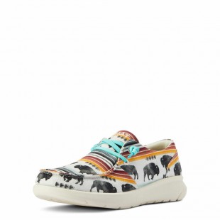 Soulier Hilo Ariat buffalo femme 