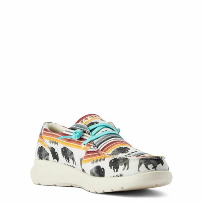Soulier Hilo Ariat buffalo femme 