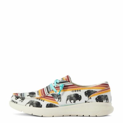 Soulier Hilo Ariat buffalo femme 