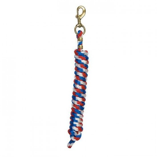 Laisse Weaver 10' Bleu blanc rouge