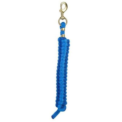 Laisse Weaver 10' bleu royal