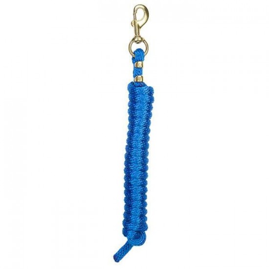 Laisse Weaver 10' bleu royal