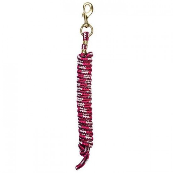 Laisse Weaver 10' Diamnond Framboise bourgogne rose