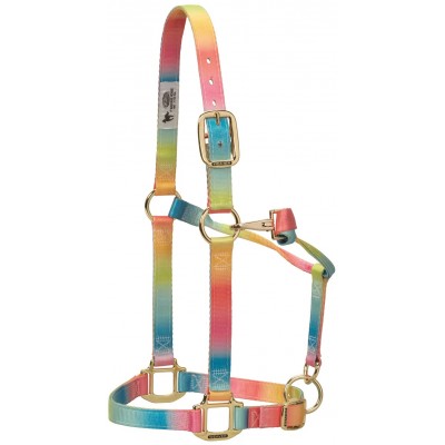 Licou Weaver arc-en-ciel  