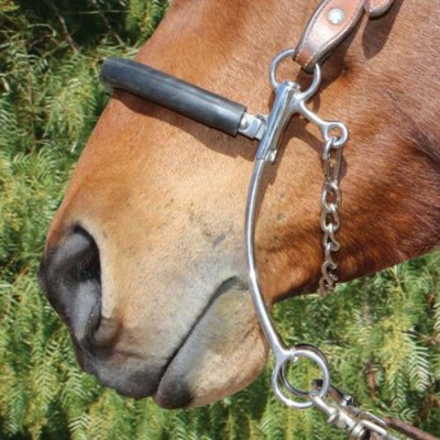 Hackamore Brittany medium 