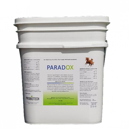 Paradox 5,5 kg